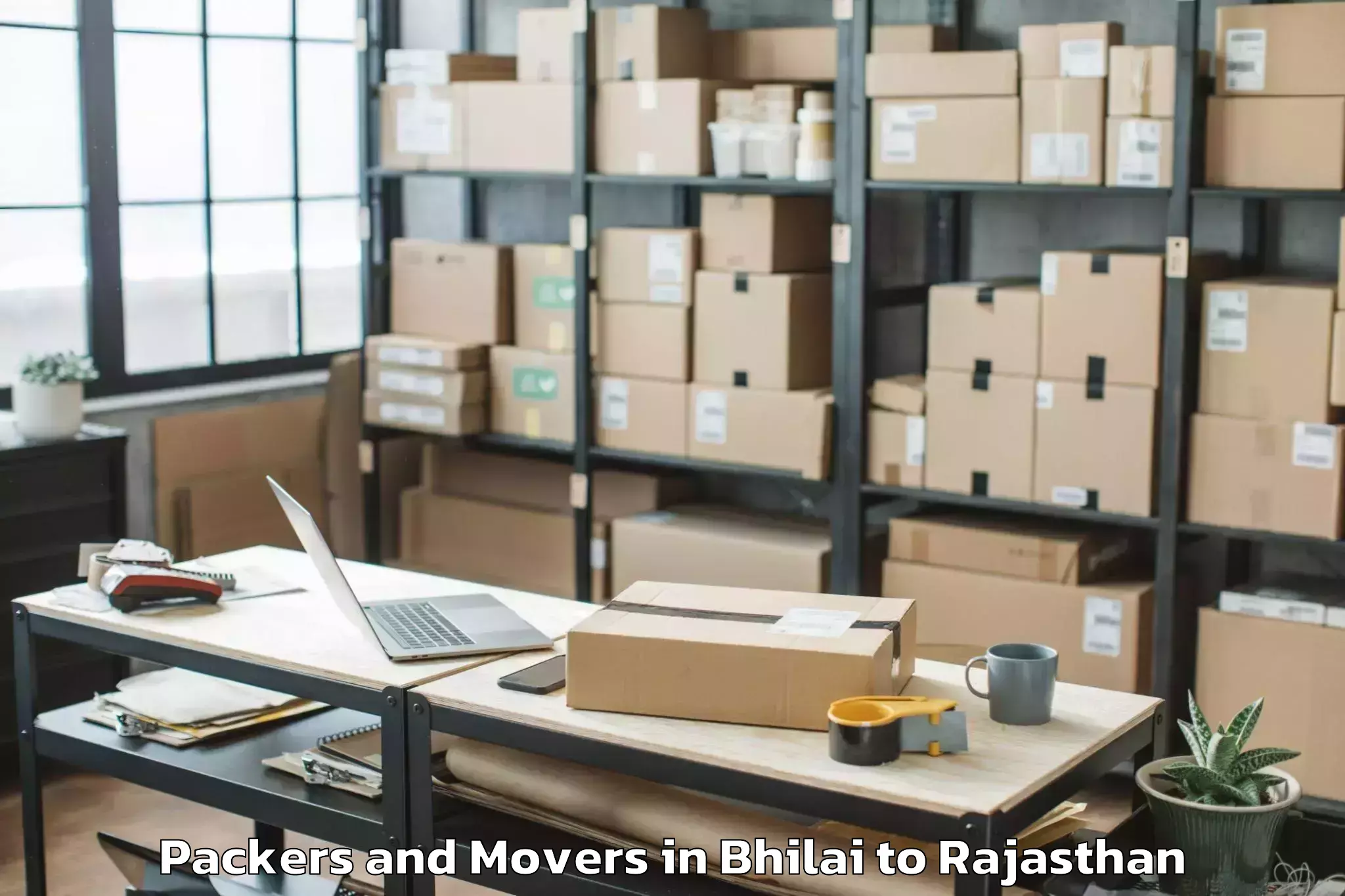 Easy Bhilai to Gogunda Packers And Movers Booking